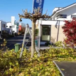 IMG-20250115-WA0039-1920w